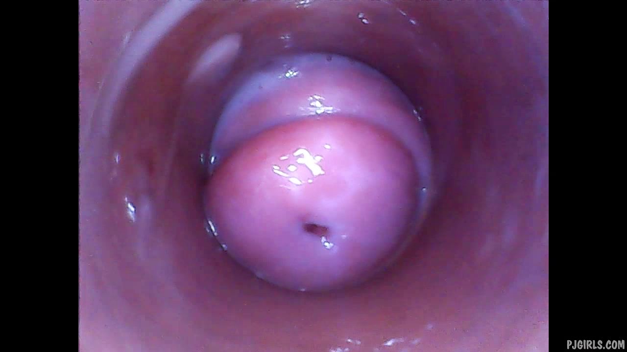 Pussy cam - raw endoscopic video » PornoReino.com