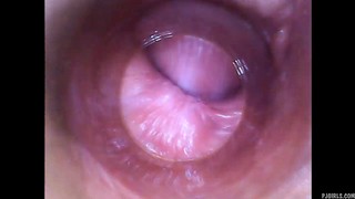 Delphine raw endoscopic video (pussy cam)