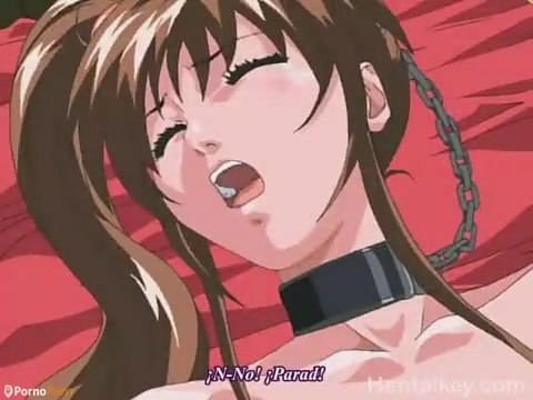 Hentai Girls Getting Anal - Cute hentai girl gets first anal fuck Â» PornoReino.com